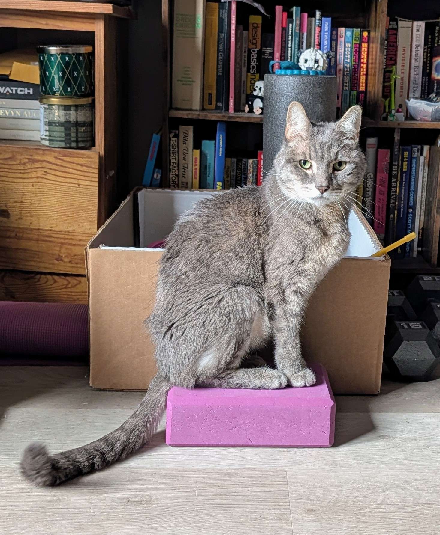 Malcolm practicing his asana