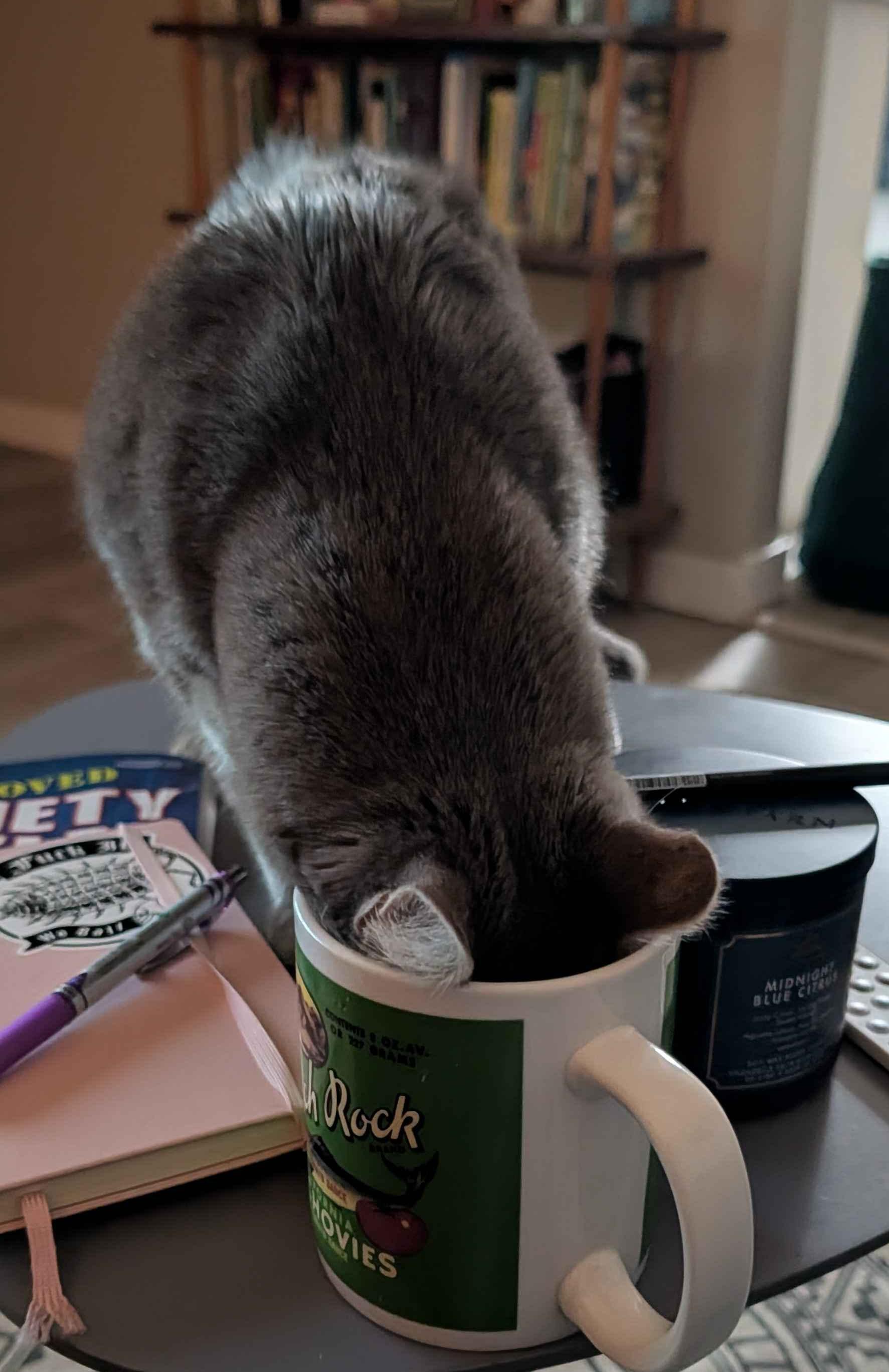 Malcolm investigating a coffee