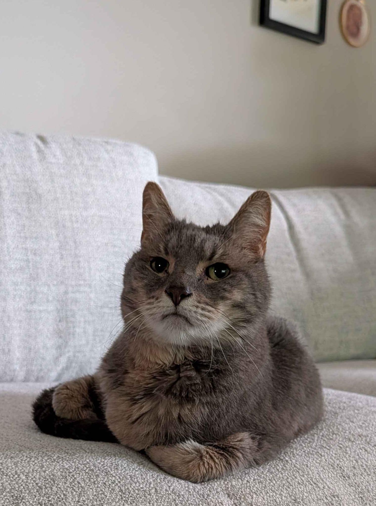 Malcolm relaxing on the couch