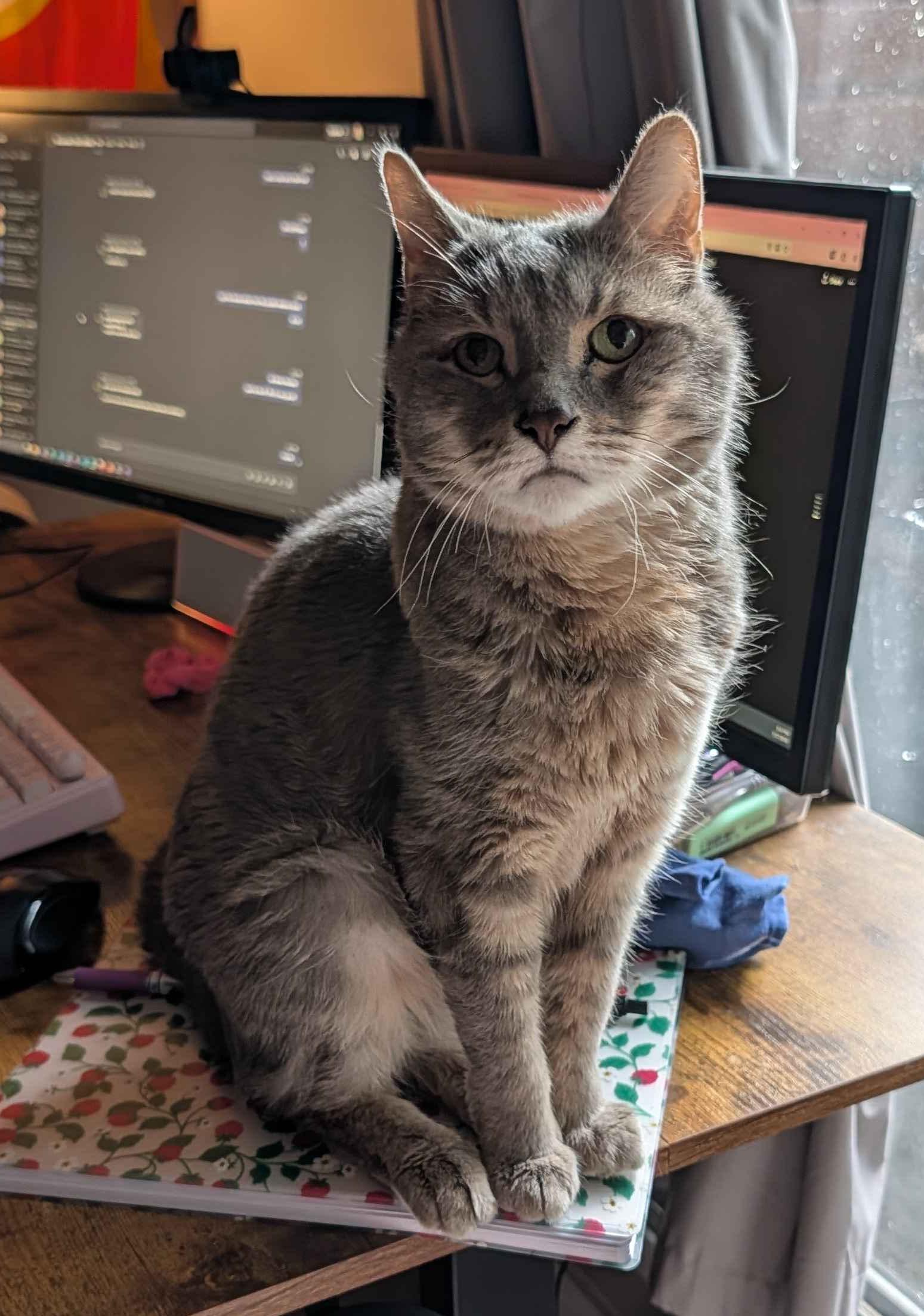Malcolm helping at the desk