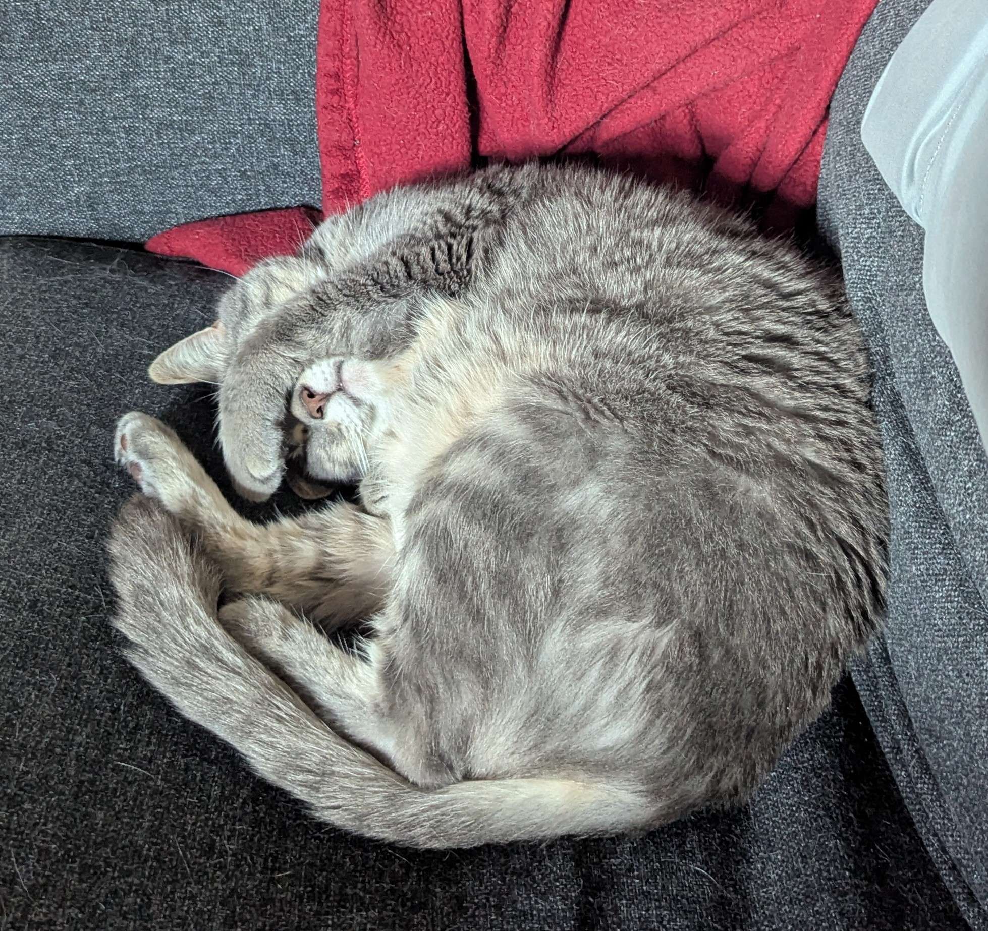 Malcolm curled into a little ball