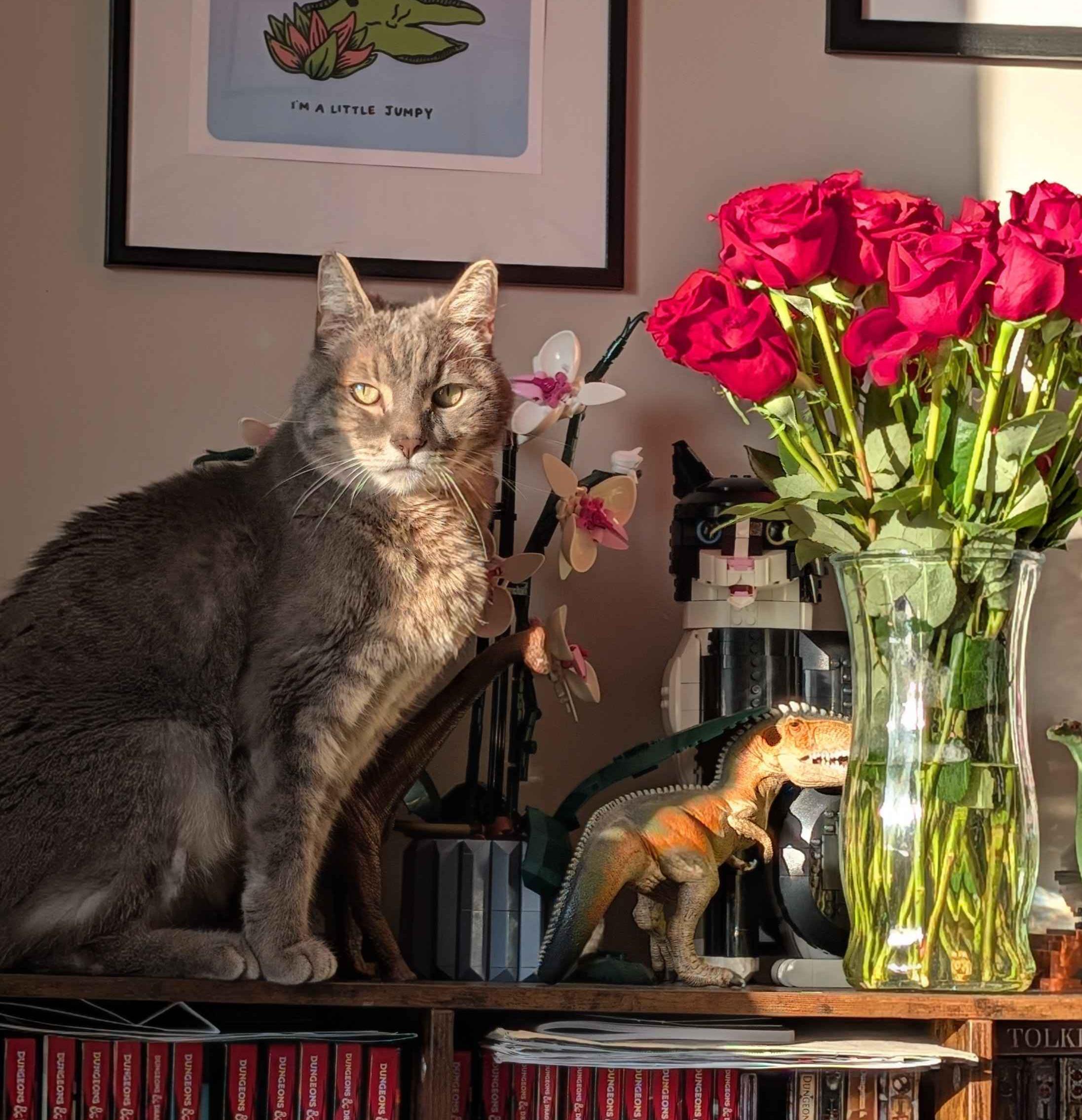 Malcolm stopping to smell the roses