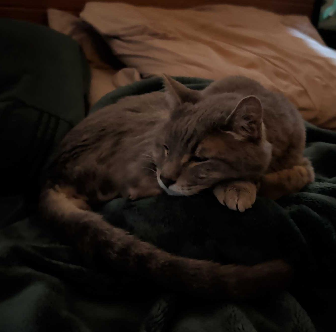 Malcolm asleep